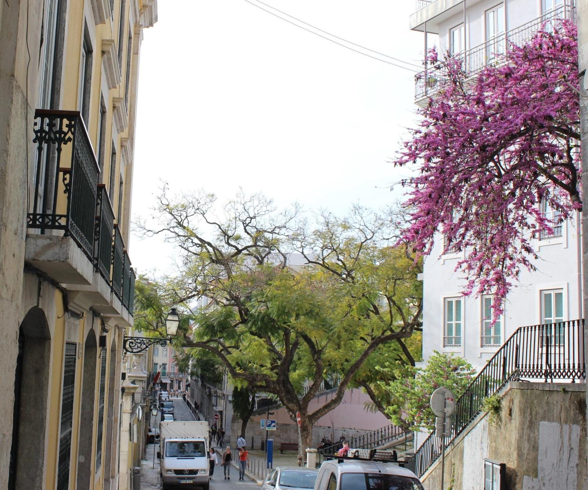 Apartmán Retrato De Lisboa Exteriér fotografie